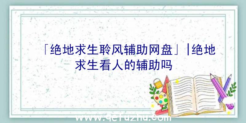 「绝地求生聆风辅助网盘」|绝地求生看人的辅助吗